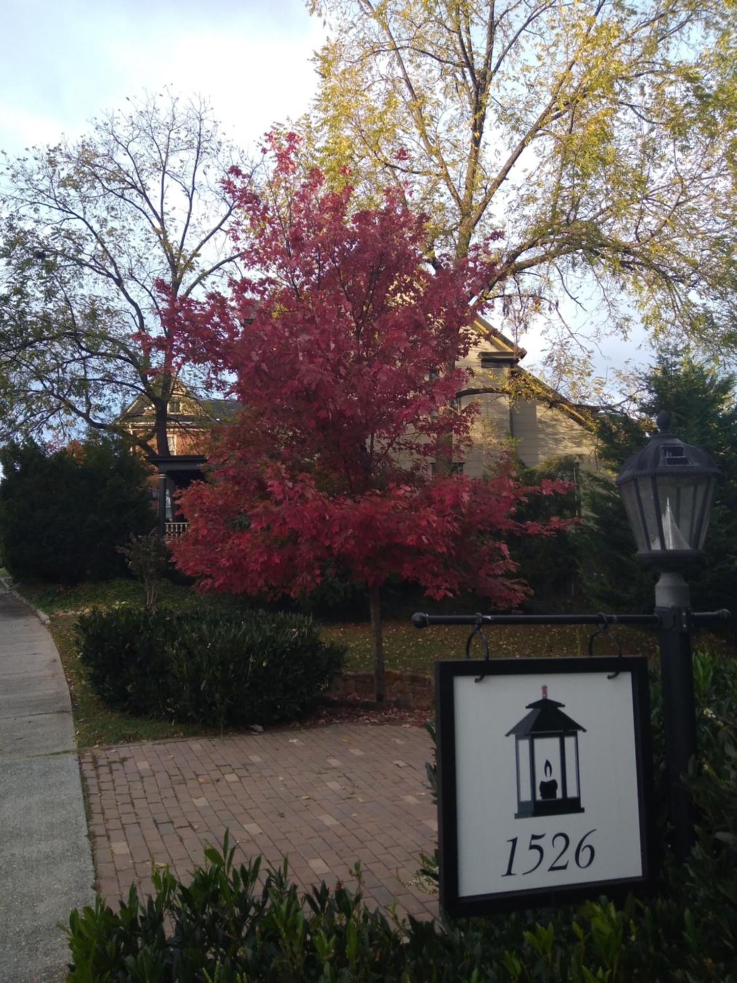 Black Lantern Inn Roanoke Exterior foto